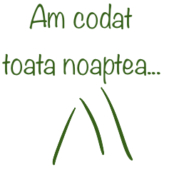 Am codat toată noaptea..